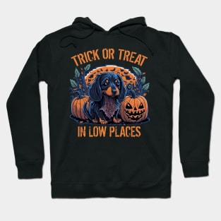 Cute Puppy Dachshund Lover Halloween Trick or Treat In Low Places Hoodie